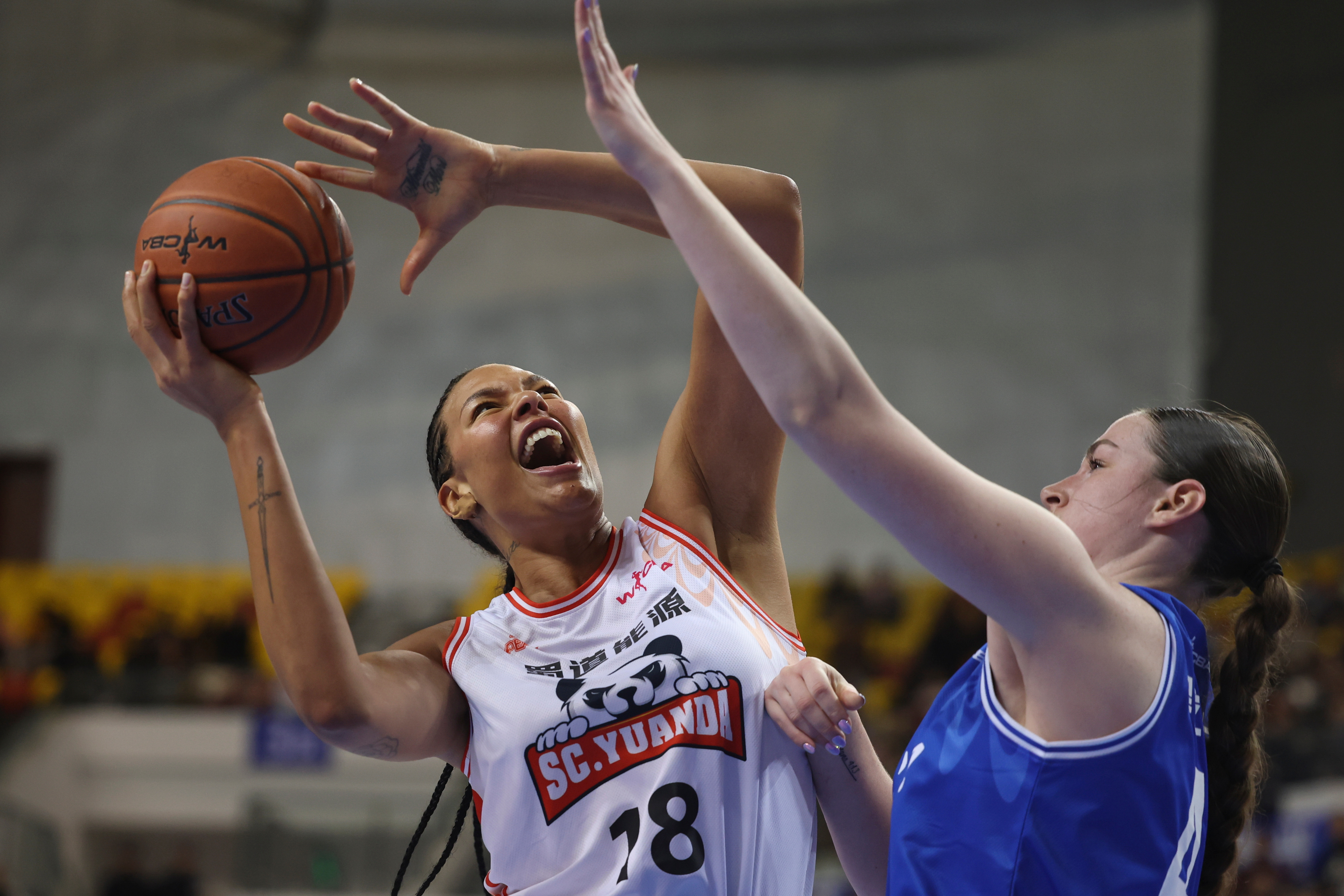 开云体育下载-四川男篮连胜收官，季后赛状态火爆