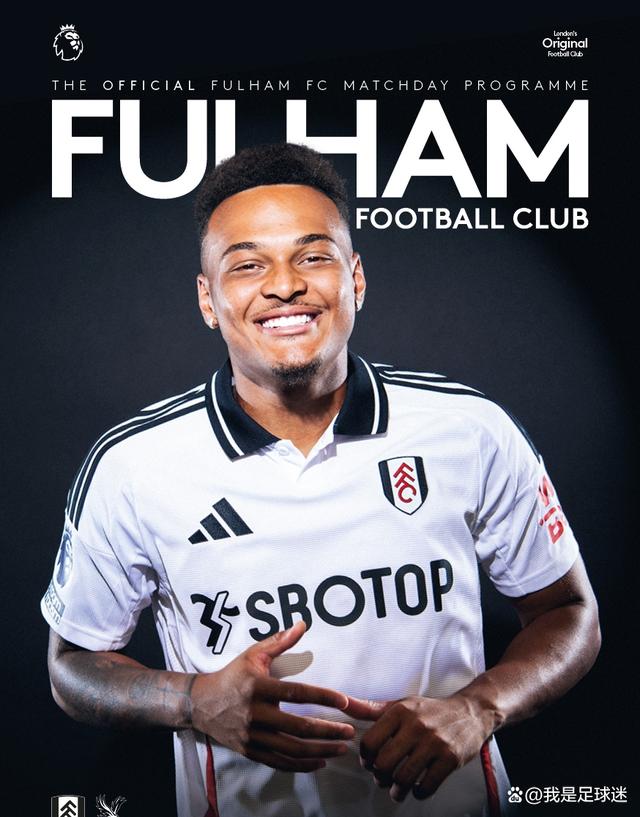 水晶宫客场失利，雄鹰陷入保级困境的简单介绍