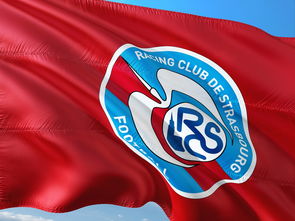 开云体育中国-帕尔梅拉斯球员伤愈归队，阵容进一步完整