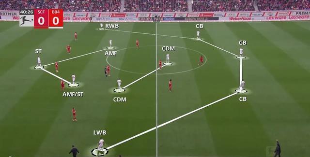 球队成员探讨战术战术分析引发球迷热议 球队成员探讨战术战术分析引发球迷热议