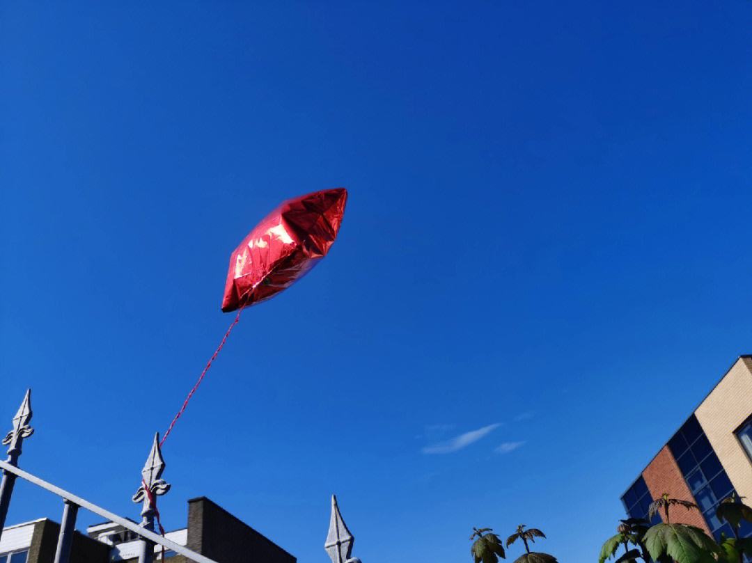 包含苏格兰俱乐部赛场火爆，球迷热情高涨挑战自由之梦的词条
