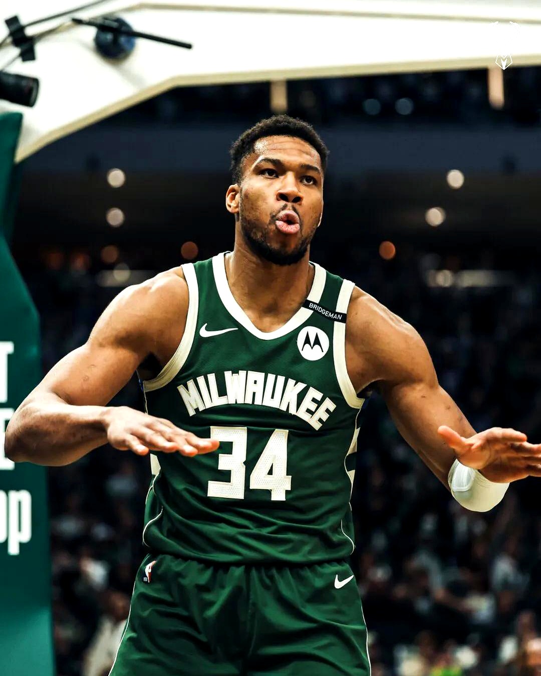 雄鹿又胜一仗,字母哥全面爆发 雄鹿又胜一仗,字母哥全面爆发